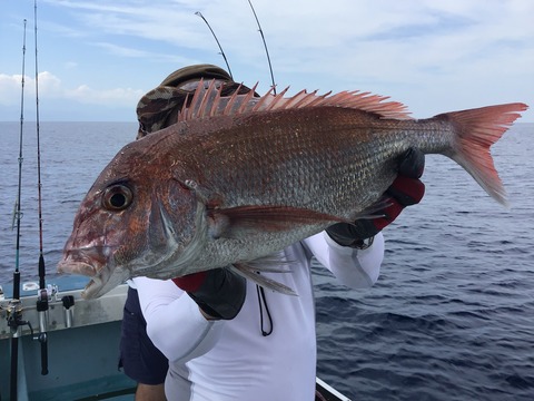 80BE76C4-0E94-4760-BA67-8CA1955FE181