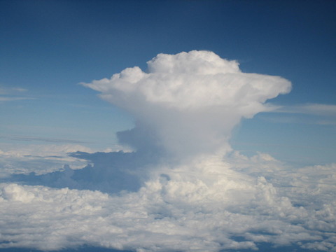 o1920144014259282846