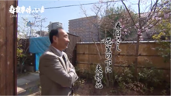 スクリーンショット 2019-03-28 19.43.29