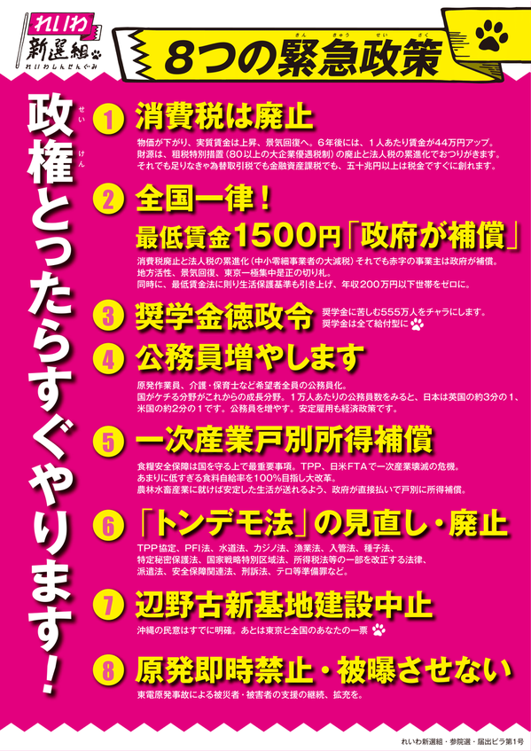 政策