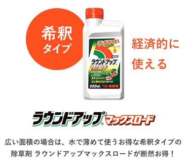 スクリーンショット 2021-01-04 13.09.08