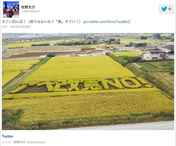 田んぼ　アベ改憲NO