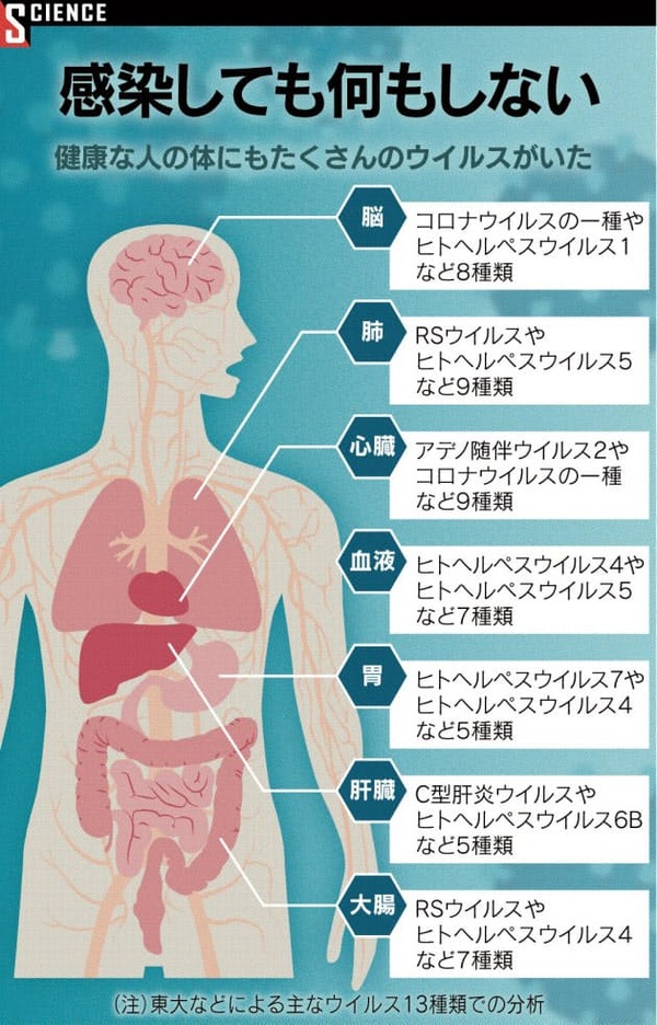 ウイルス