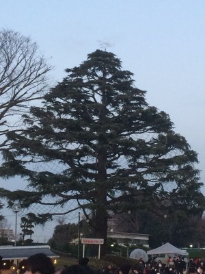 2017-12-24-16-41-33