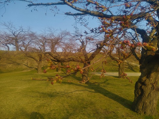 IMG_20200418_064731612