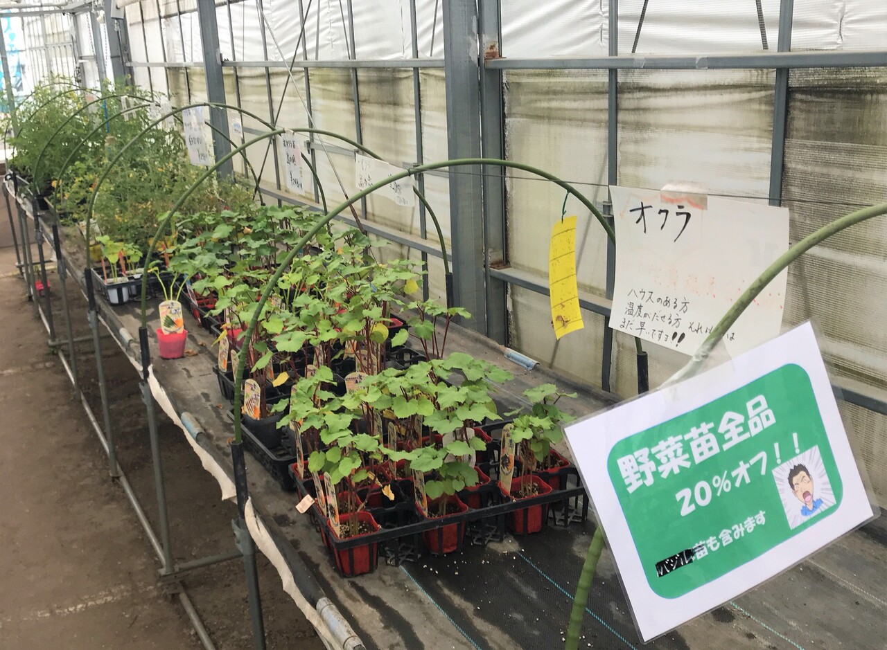 函館 野菜苗2割引の岩佐商会と七飯 農道の野菜直売所 はこある 函館のグルメ情報など