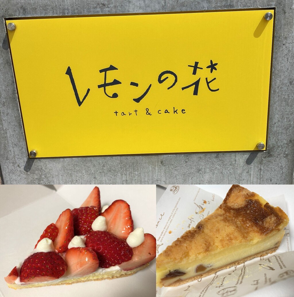 函館 レモンの花 タルトとケーキがおいしい開店前から行列な人気店 はこある 函館のグルメ情報など