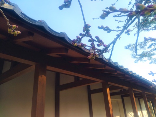 IMG_20200418_065607033