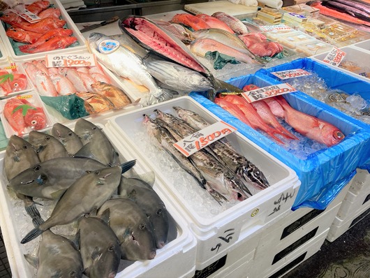 【海鮮の種類豊富！函館 前鮮魚店】連日にぎわう はこだて自由市場内