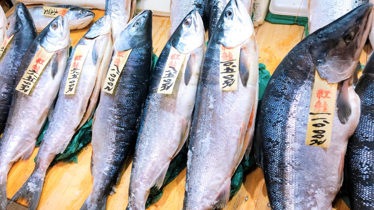 年末買い始動 函館自由市場と中島廉売でハシゴ買い はこある 函館のグルメ情報など 年末買い始動 函館自由市場と中島廉売でハシゴ買い はこある 函館のグルメ情報など