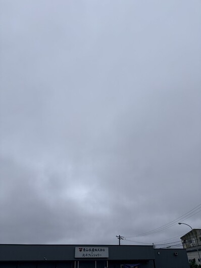 IMG_0873