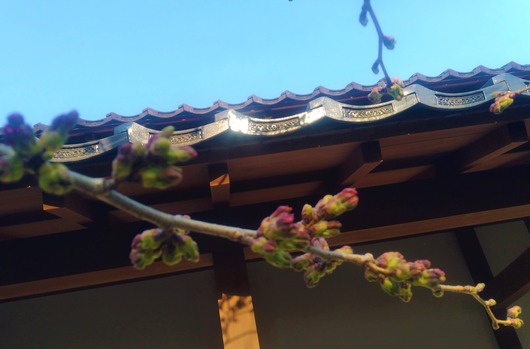 IMG_20200418_065632725