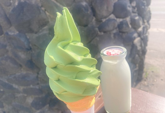 【ホントお客さんが途切れず人気】北斗市 鈴木牧場牛乳のソフトクリームと牛乳