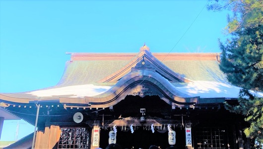 IMG_4323 - コピー