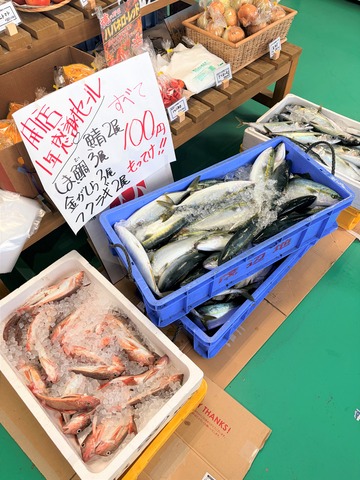 【10/31開催!まさがよっ!?フェスティバルへ】北斗市 青山水産 北斗フィッシャリー