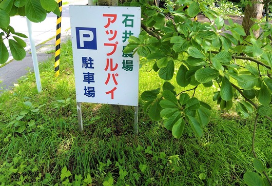 2020-07-09-13-31-28-274