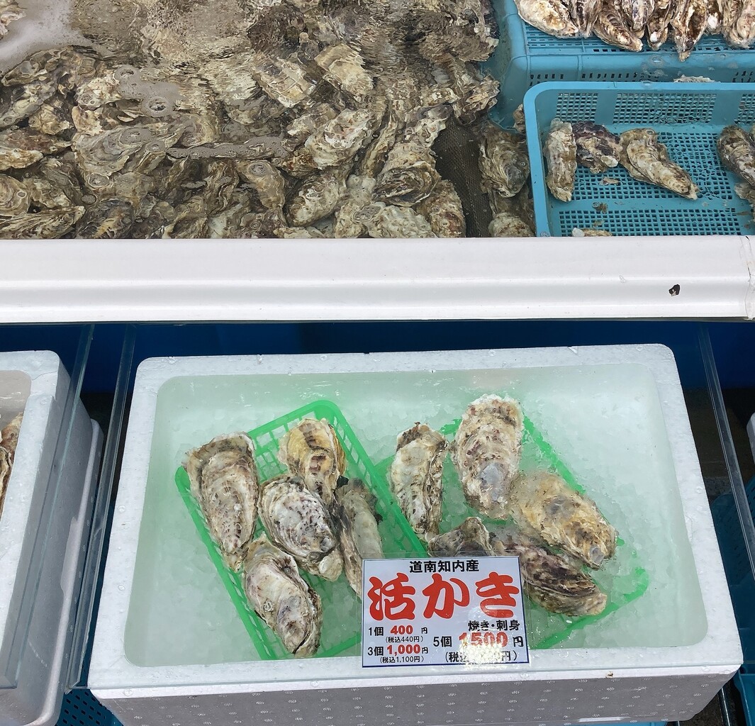 函館朝市の海鮮料理と釜めし あらき で牡蠣を買ってきたぞ はこある 函館のグルメ情報など