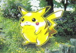 昔のピカチュウ ポケットモンスター 箱ダケ 昔のピカチュウ ポケットモンスター 箱ダケ