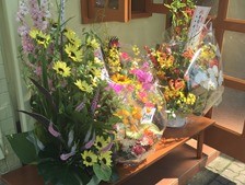 IMG_2479 IMG_2479