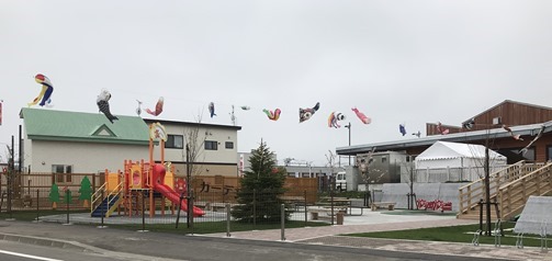 IMG_4553