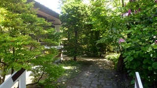 P2130305 P2130305