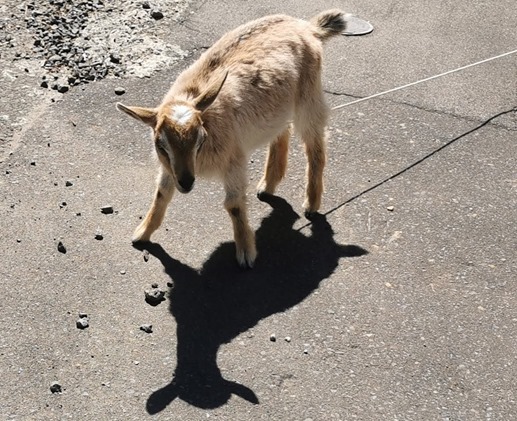 IMG_20220529_132101_1