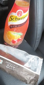 IMG_3231 IMG_3231