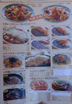 PA310030 PA310030