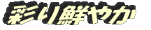 彩り鮮やか