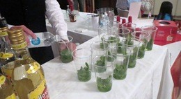 IMG_5483 IMG_5483