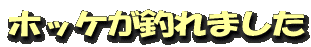 ホッケが釣れました