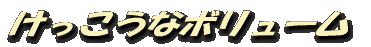 けっこうなボリューム