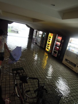 DSCN0973