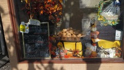 IMG_5105 IMG_5105
