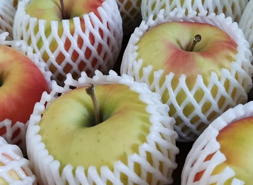 IMG_20211225_152841_1