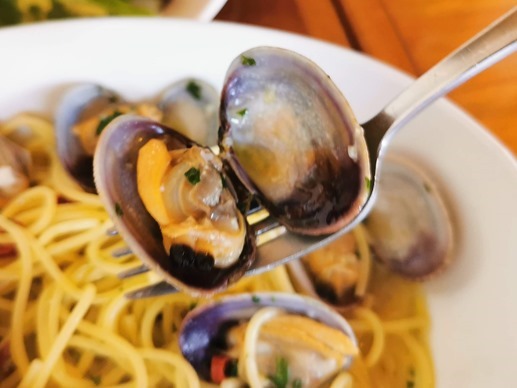 IMG_20210221_132646_2 IMG_20210221_132646_2