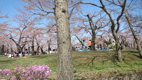 IMG_7022 IMG_7022