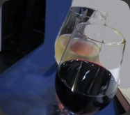 IMG_4528 IMG_4528