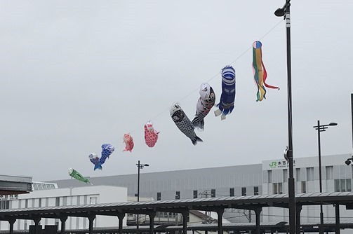 IMG_4432