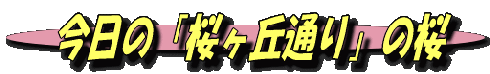 image1 image1