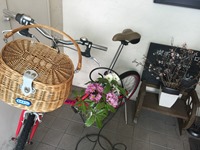 IMG_8023 IMG_8023