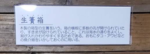 IMG_20220508_113557
