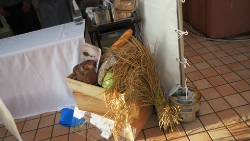 IMG_7160 IMG_7160