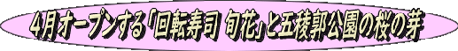 syunkatosakura syunkatosakura