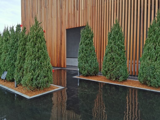 IMG_20211203_113236 IMG_20211203_113236