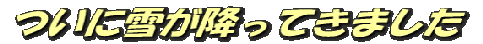 logo1 logo1