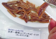 IMG_5618 IMG_5618