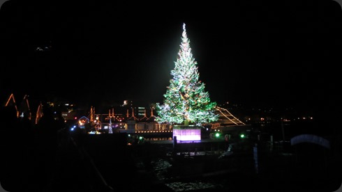 IMG_3673 IMG_3673