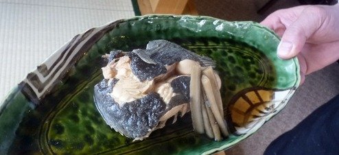 P1950149