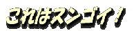 logo11 logo11